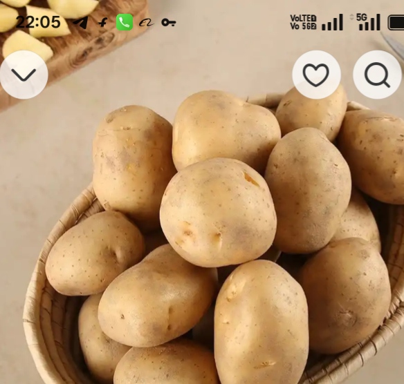 Patato